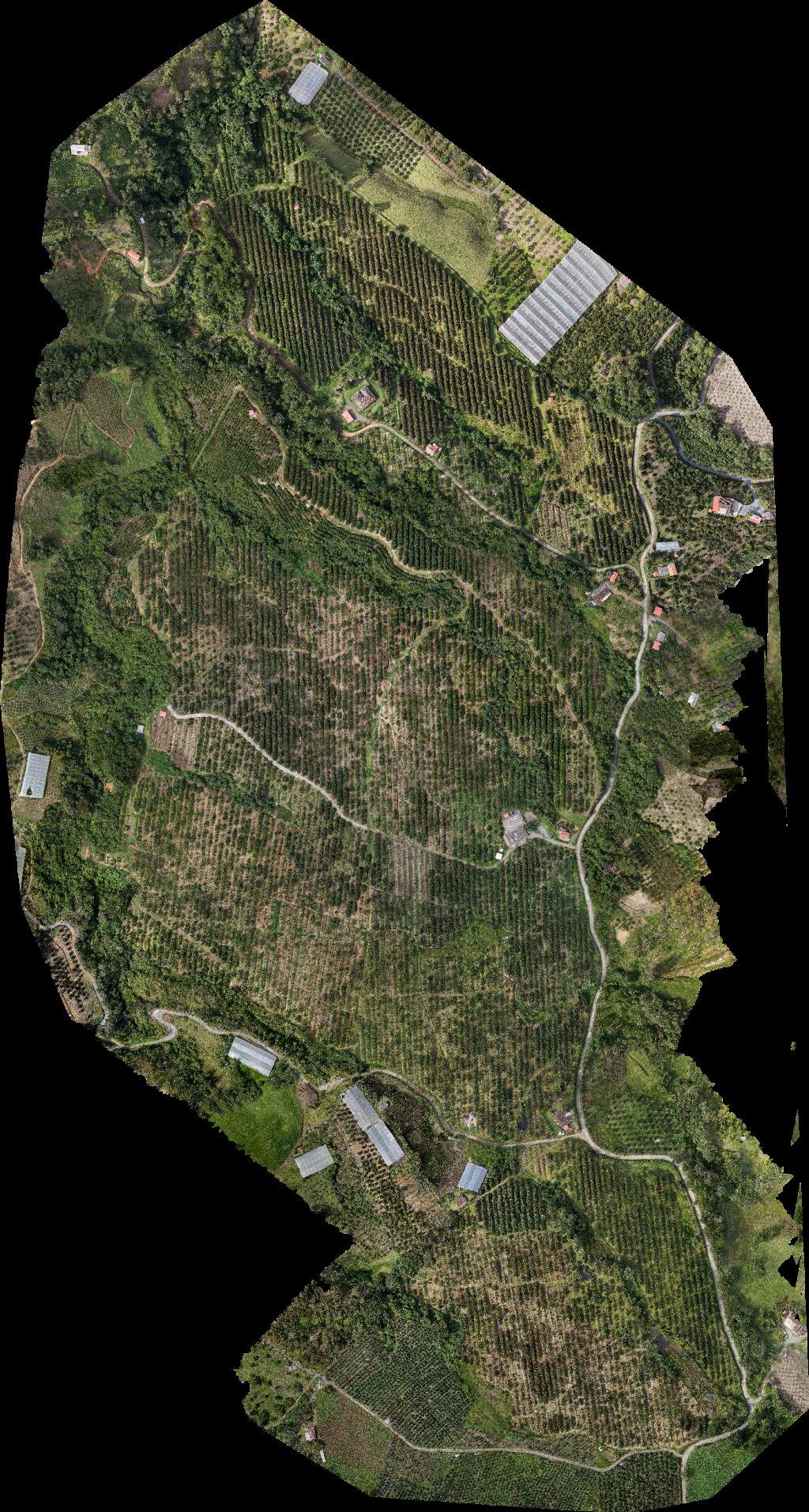 Finca la Iglesita Franca Yorladis