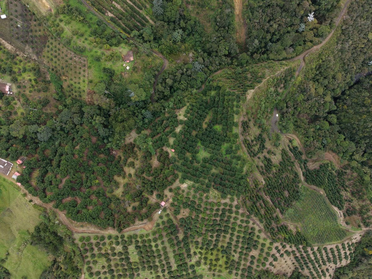 Parador Sun Finca Juglares