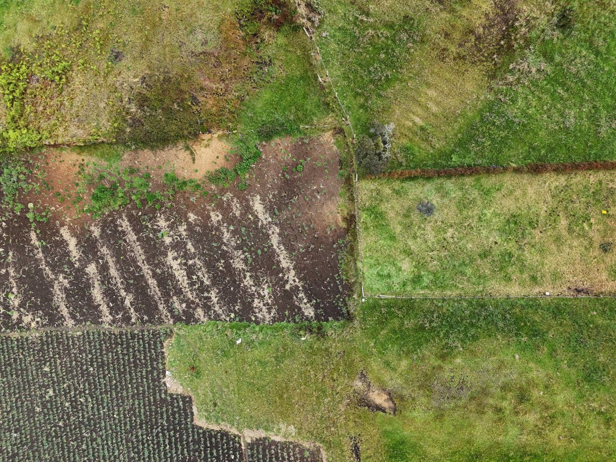 Alpez Chalet Finca la Piedra