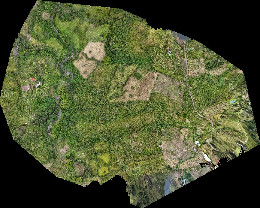 Hospedaje miraflores Finca La Palma