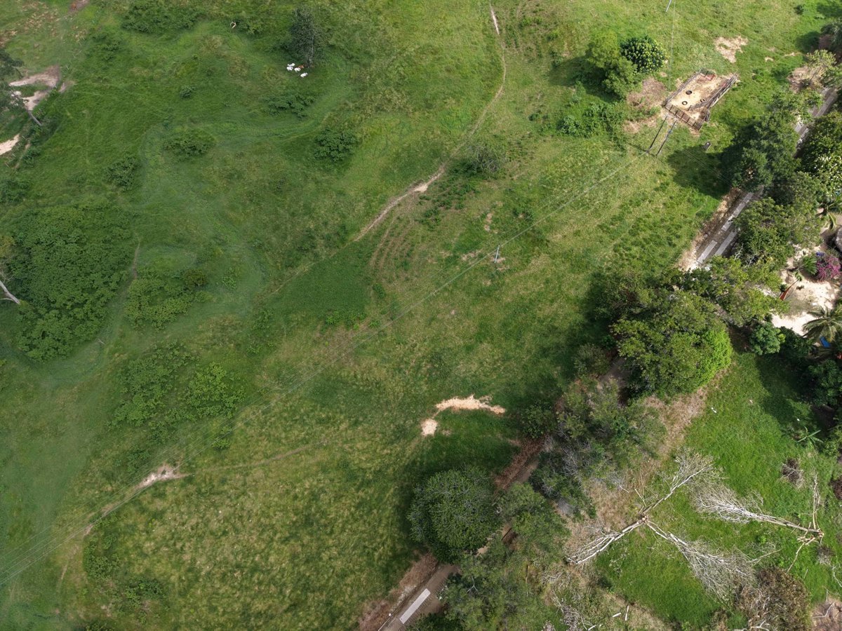 CLINICA VETERINARIA TISHA Vacunación COVID 19 Unidad Basica