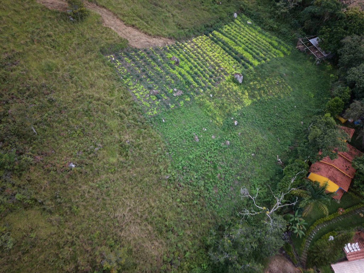 Hotel Boutique Casa de Clara Delgado