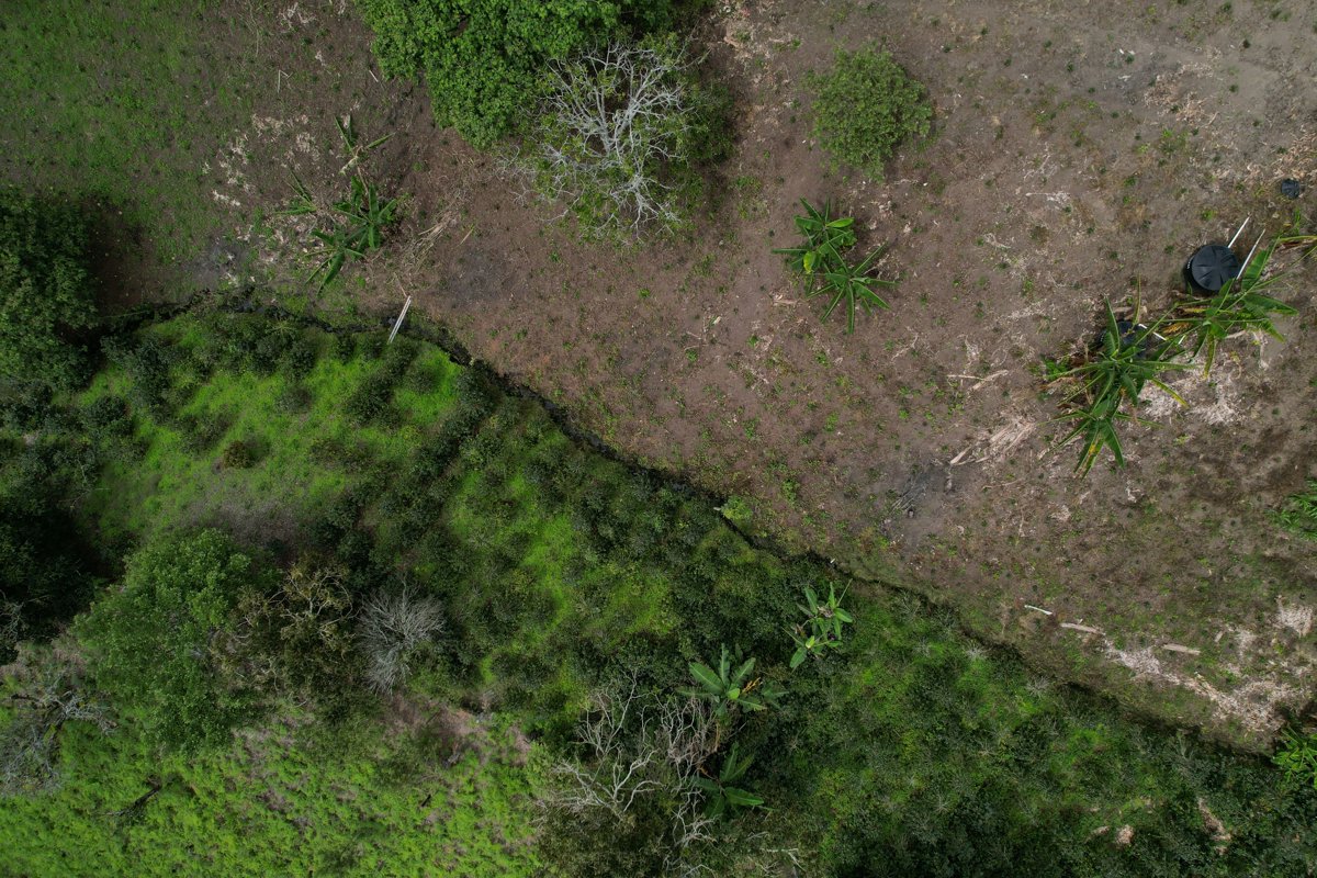 Villa esteban 1 Dojo Kyokushin