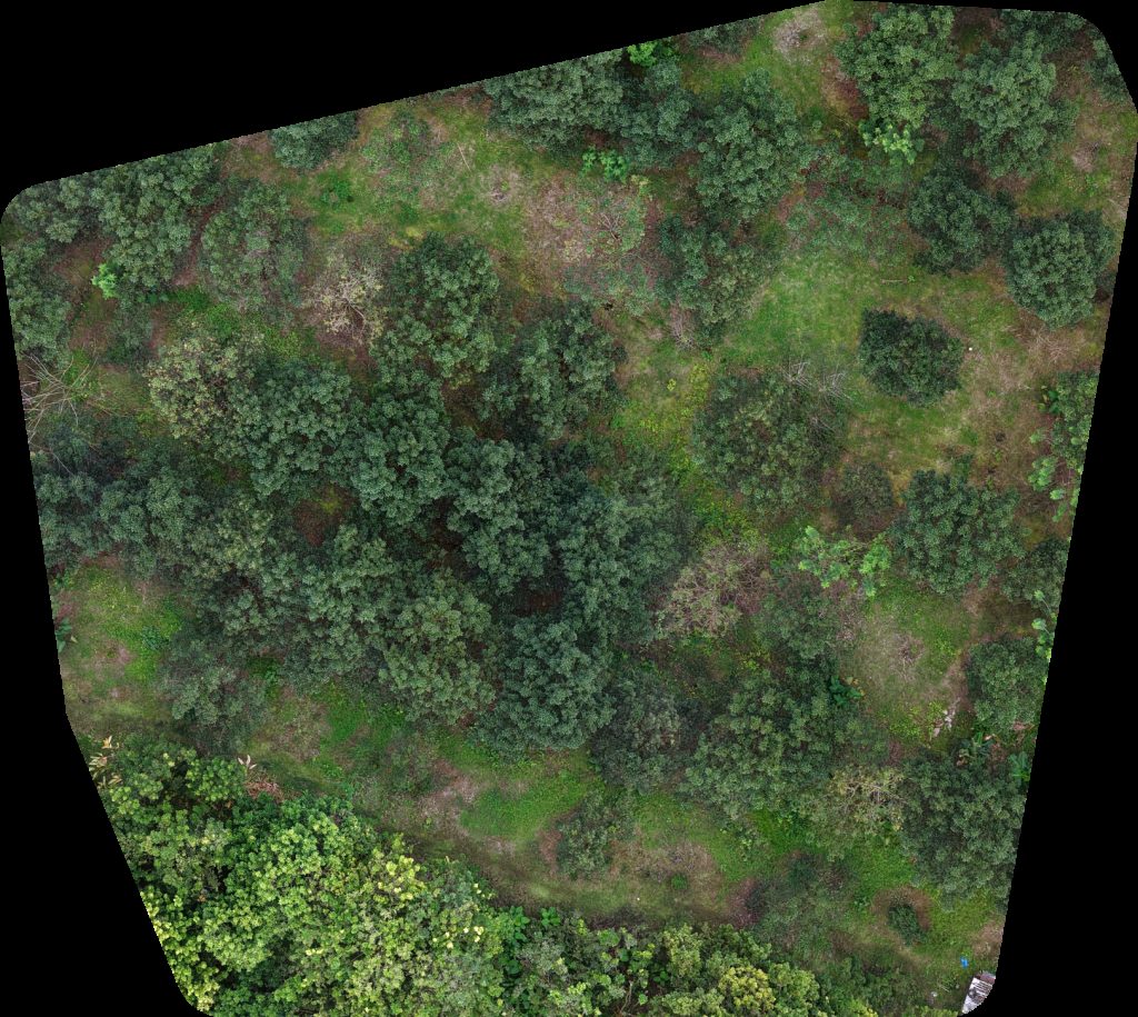 El Garage Mecánica y Más REPOSTERIA SHACKO