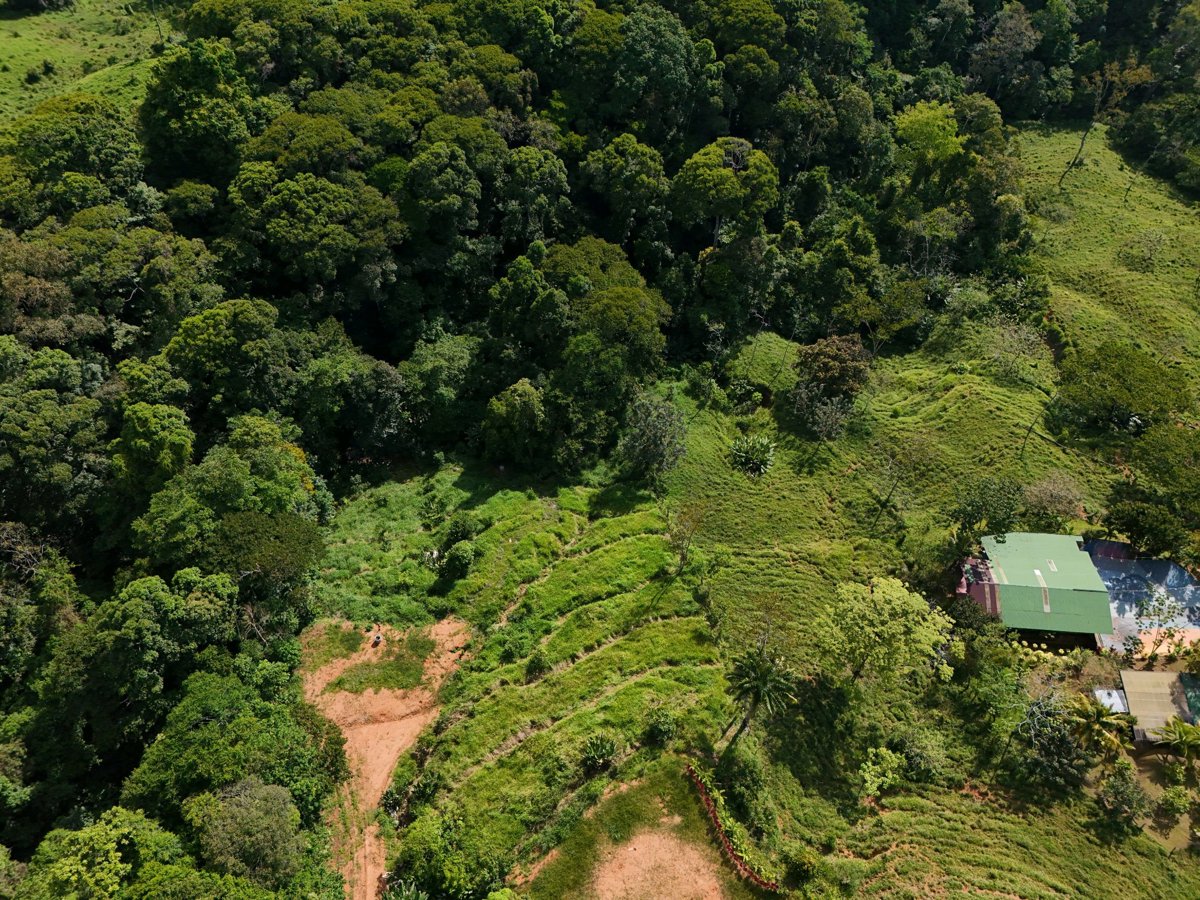 Medicina Illumina CASA DE MOI