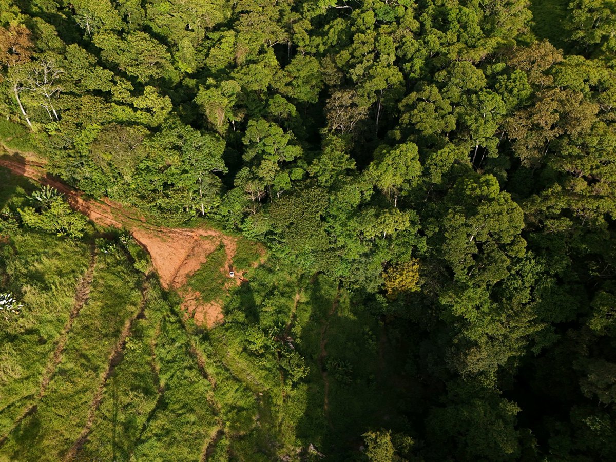 Medicina Illumina CASA DE MOI