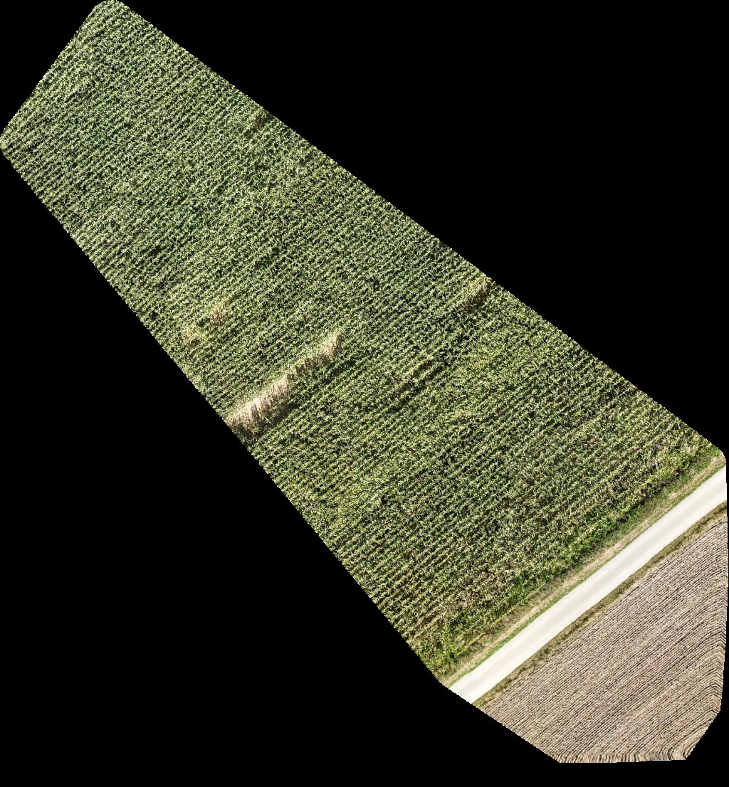 YAPP CZECH AUTOMOTIVE SYSTEMS Co s r o Magna Exteriors Bohemia