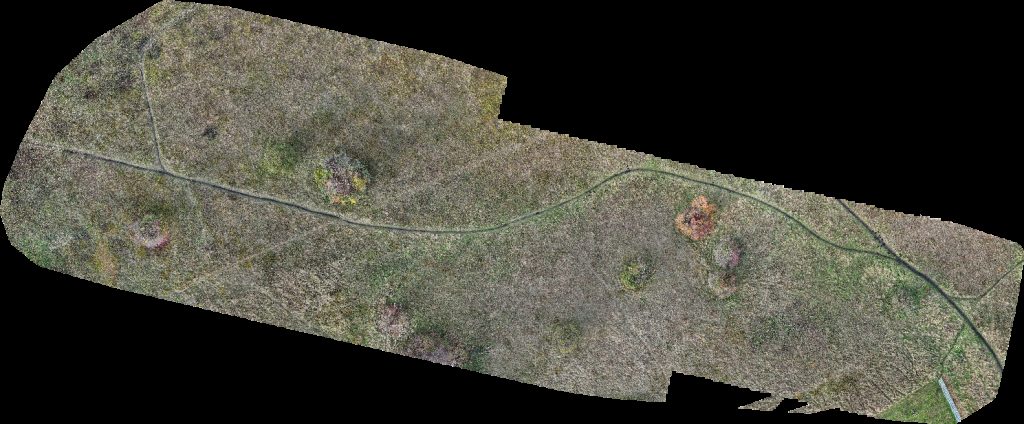 Denk mit Kita AWO Kindergarten Grashüpfer für Kinder ab 3 Jahren