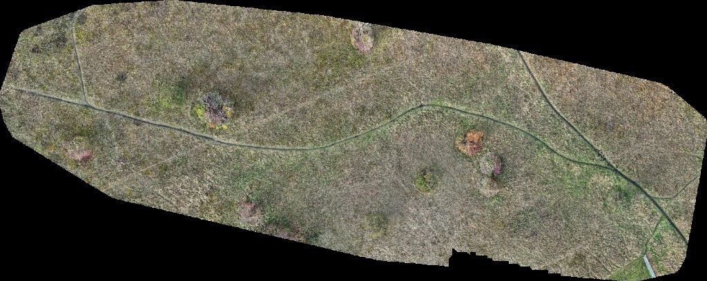 Denk mit Kita Fußballfeld