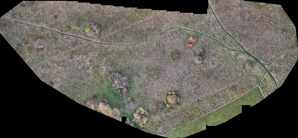 Denk mit Kita Fußballfeld