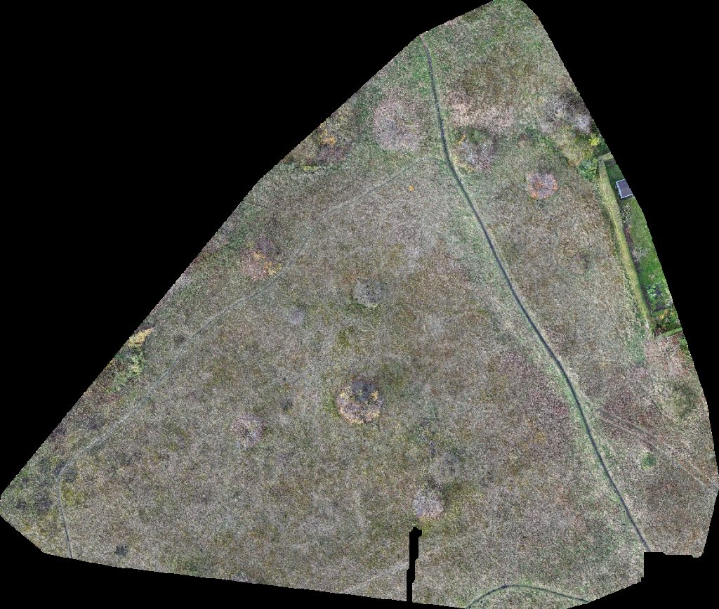 Fußballfeld Denk mit Kita