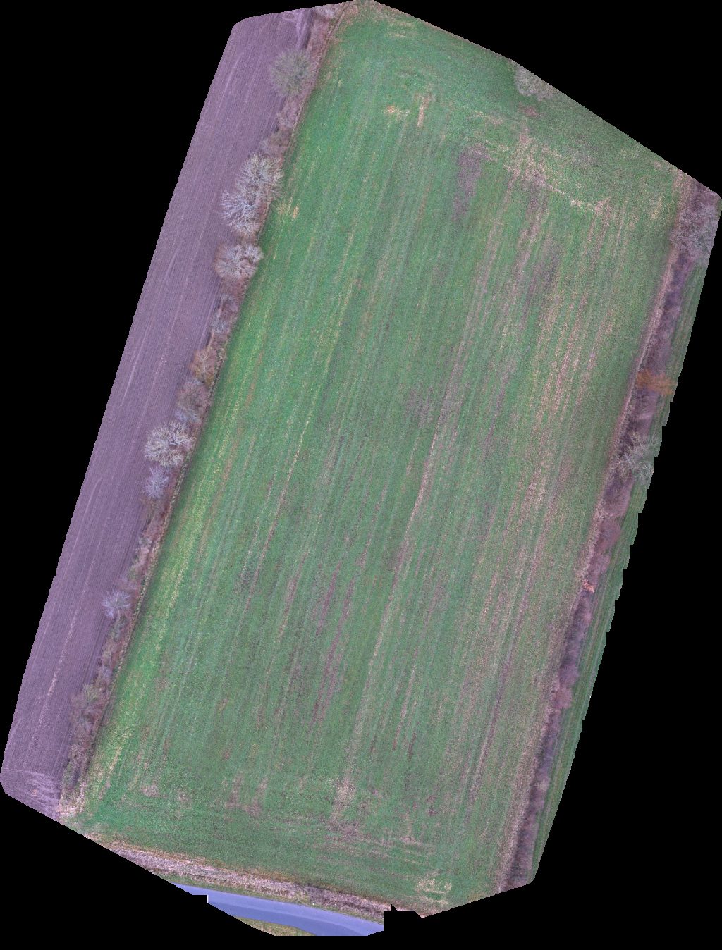 Hans Aarøe Entreprenør og Autoriseret Kloakmester ApS Krag