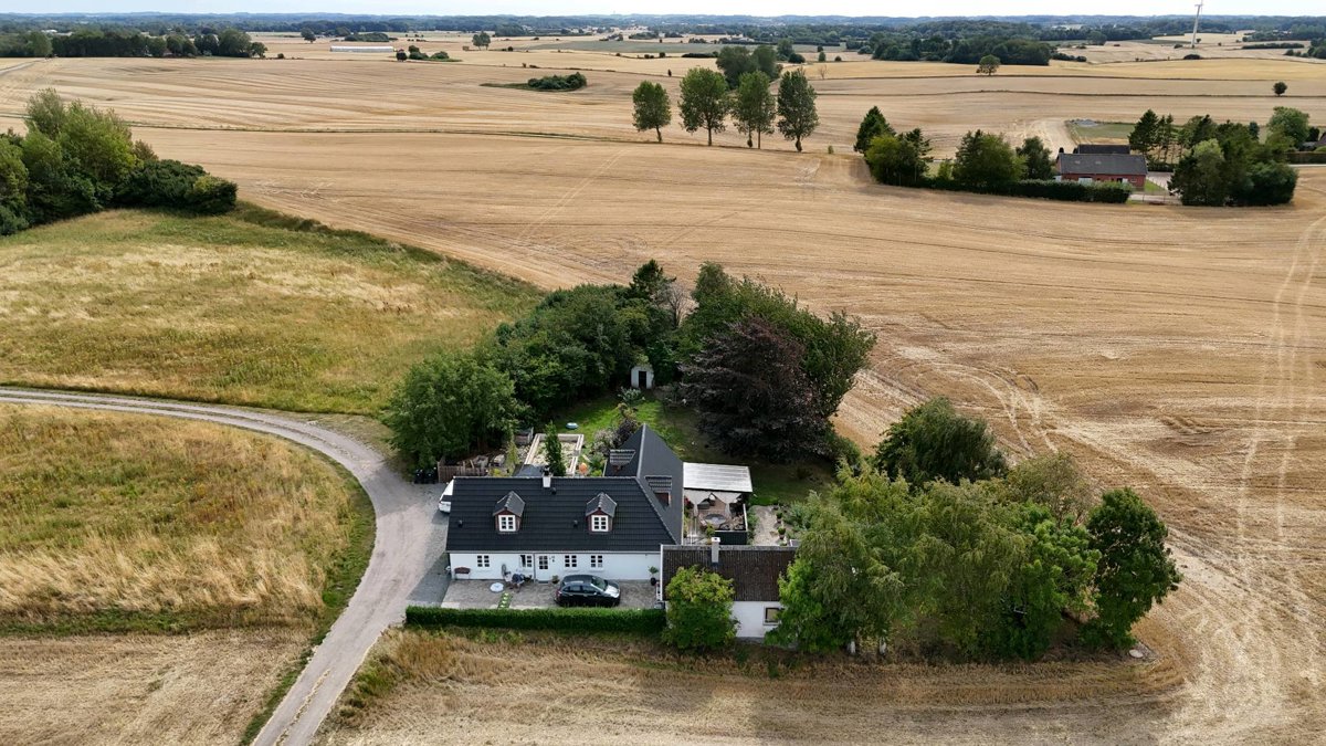 vingaard skovkatte F t s Teknik ApS