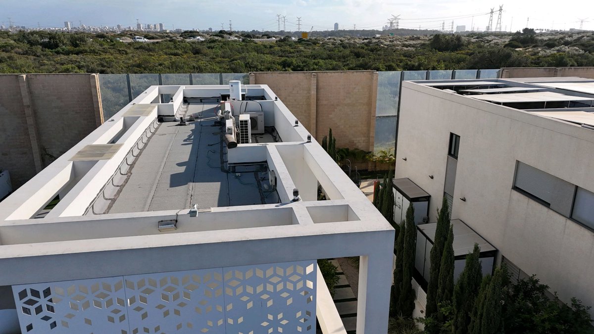 كساره اسكندريه One Coat Plant