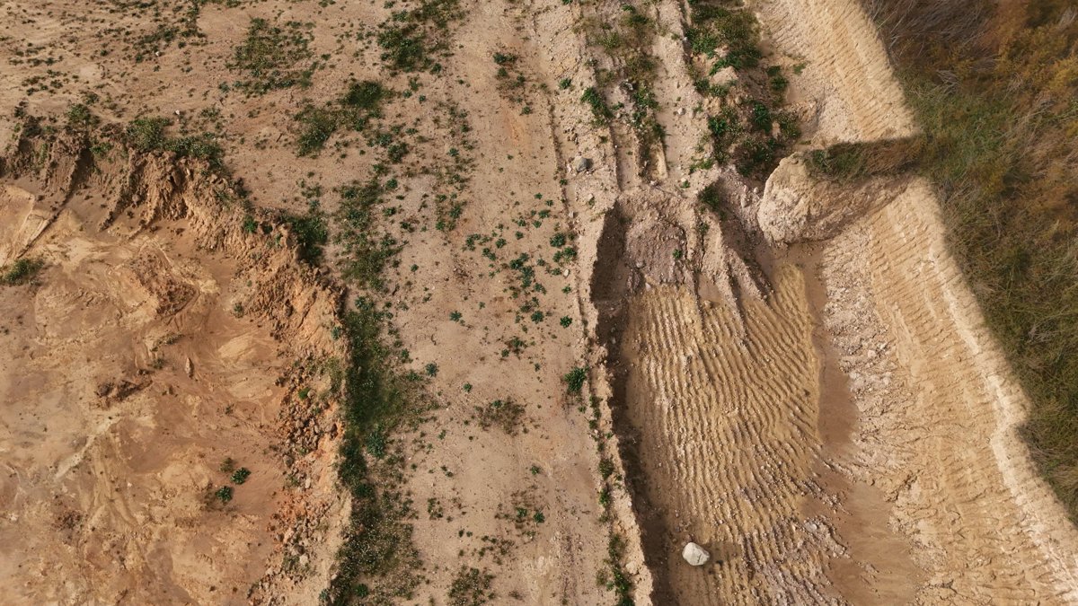 Numintec Comunicaciones S L E Tortuga Franqueses