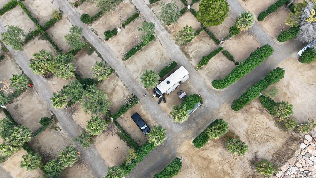 alannia resort Wind cat