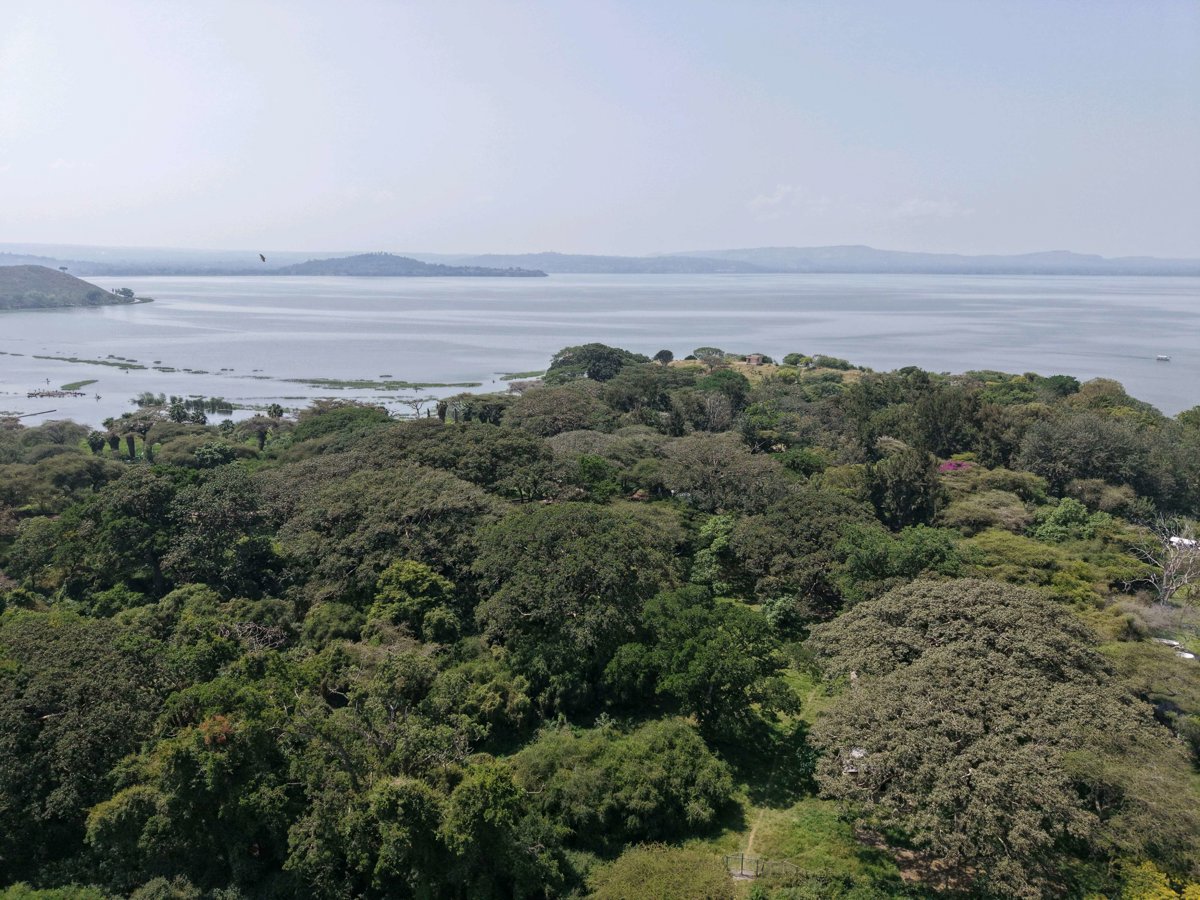 ሌዊ ሪዞርት Lewi Resort Entrance Affini cultural hall