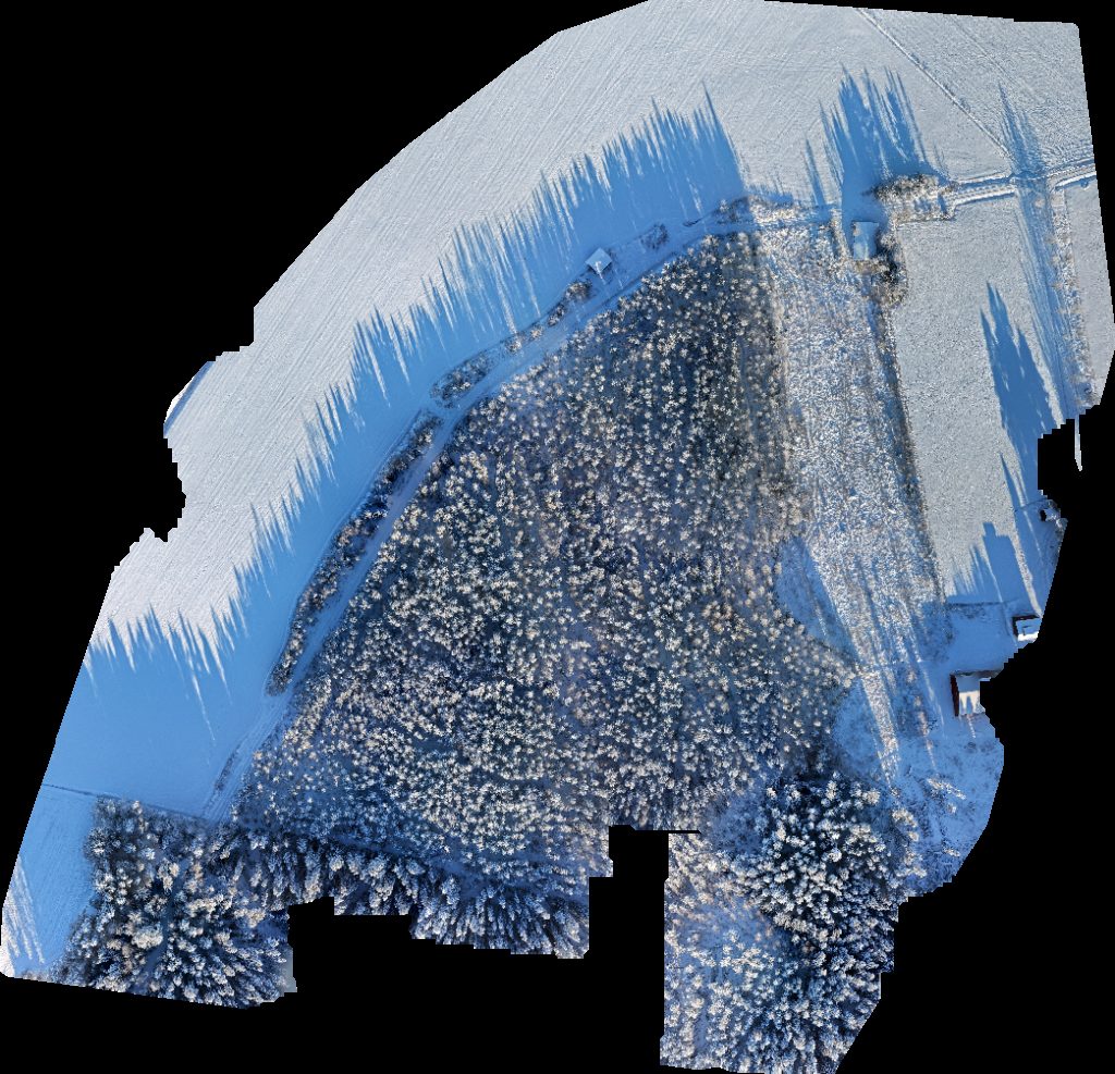 Cozmei Oy Nyman Jan Christer Mikael