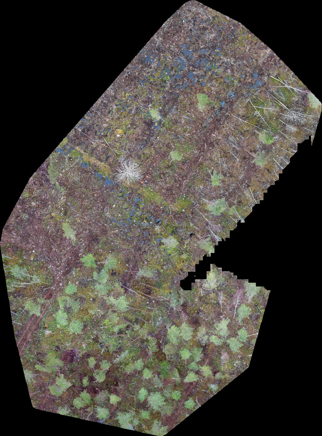 Lemlahden silta Mäntykaluste Nikkonen