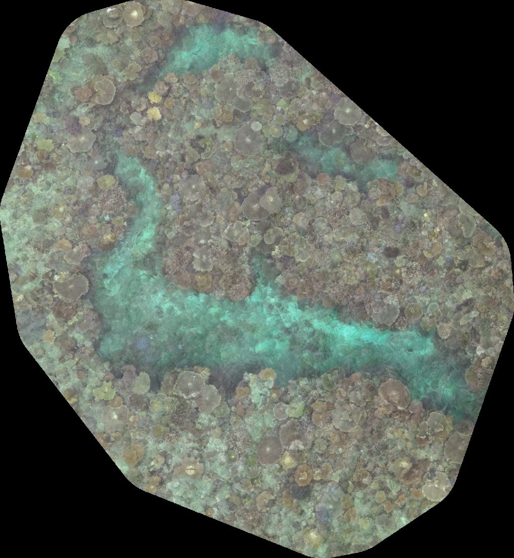 Moon Reef Lolomalevu Settlement