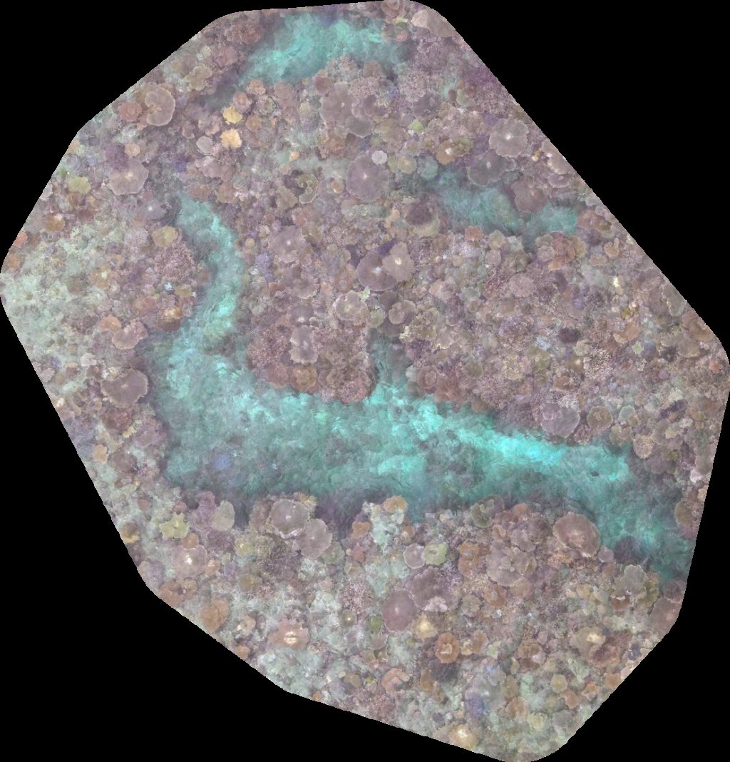 Moon Reef Lolomalevu Settlement