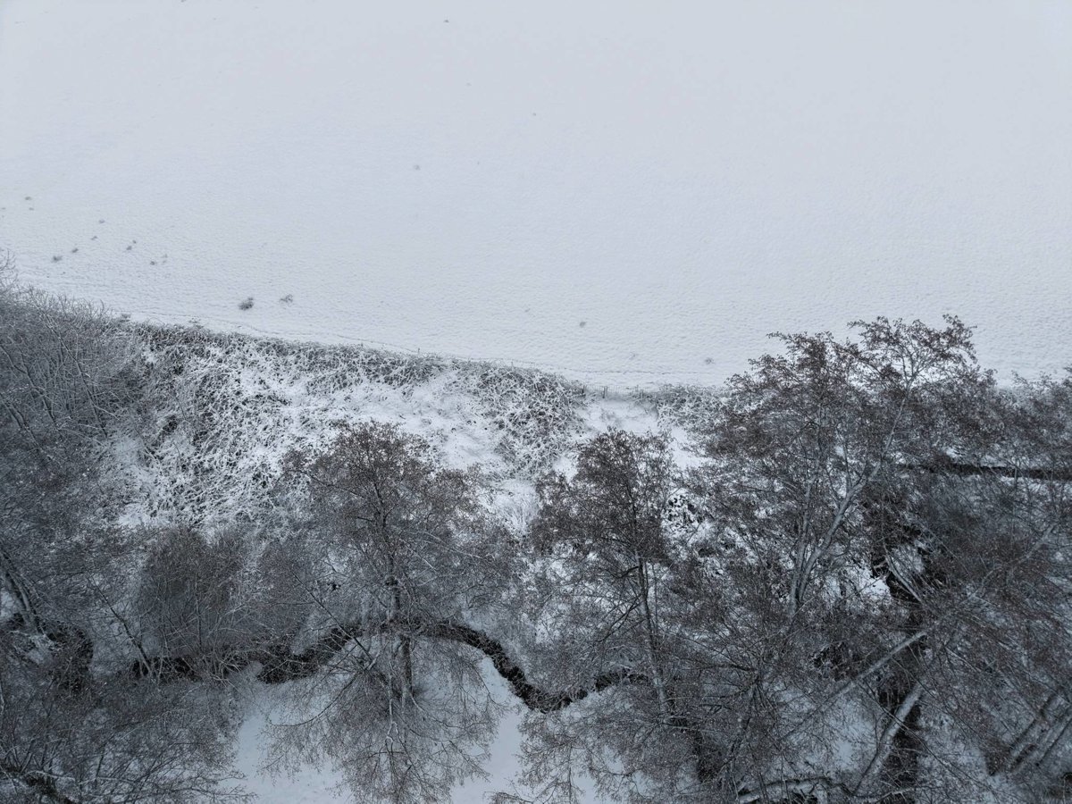 Public Primary School Evette Production d Energie Solaire