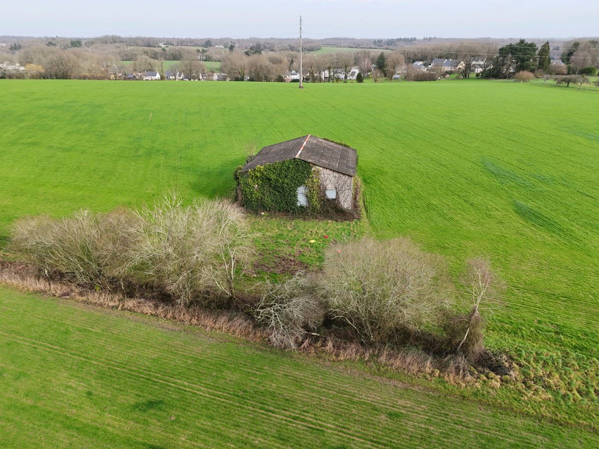 Terrien Mouteliere Fabienne Timber Elagage