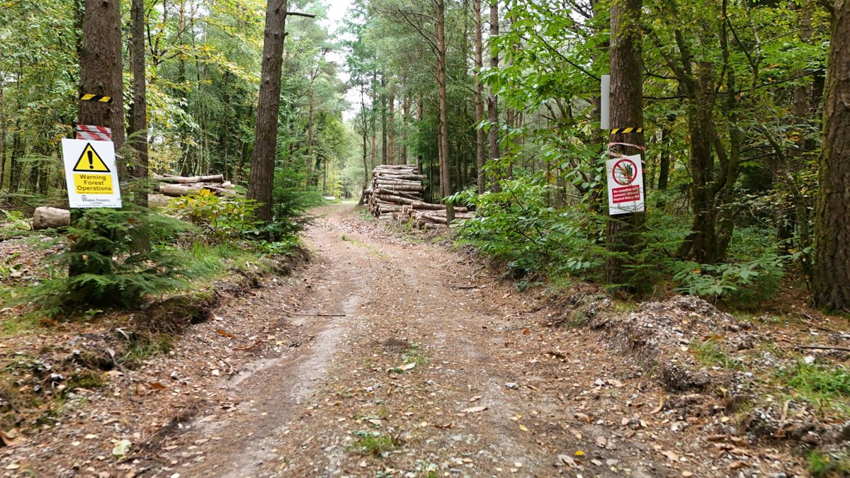 Sara Cartwright Art Castle Dyke