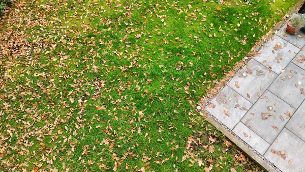 Stevenage Golf Conference Centre Macro Studio