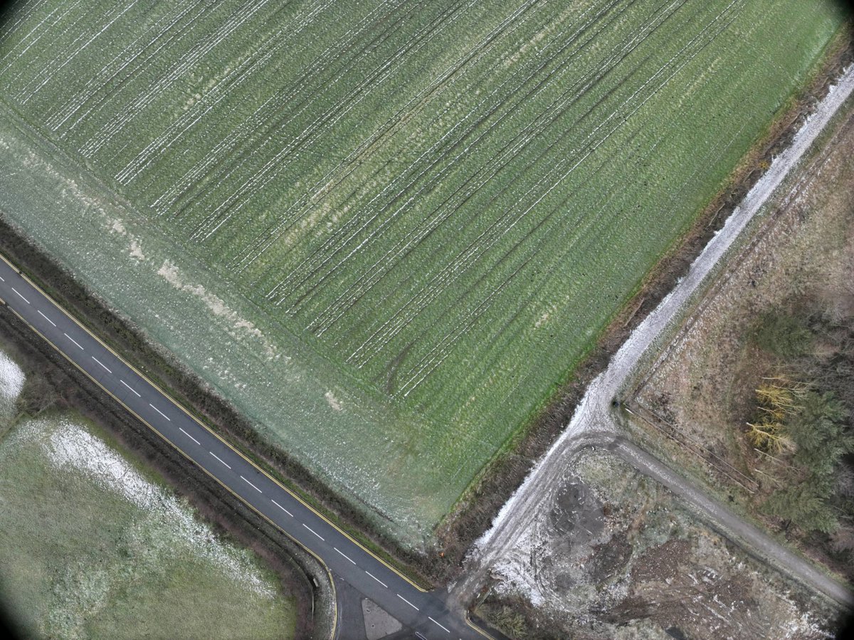 Hill Farm Dog Boarding Elemore Garden Centre Coffee Shop