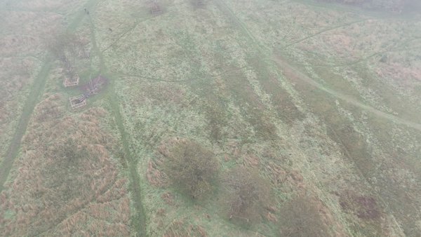 Boo s Pet Care hykeham heating contractors