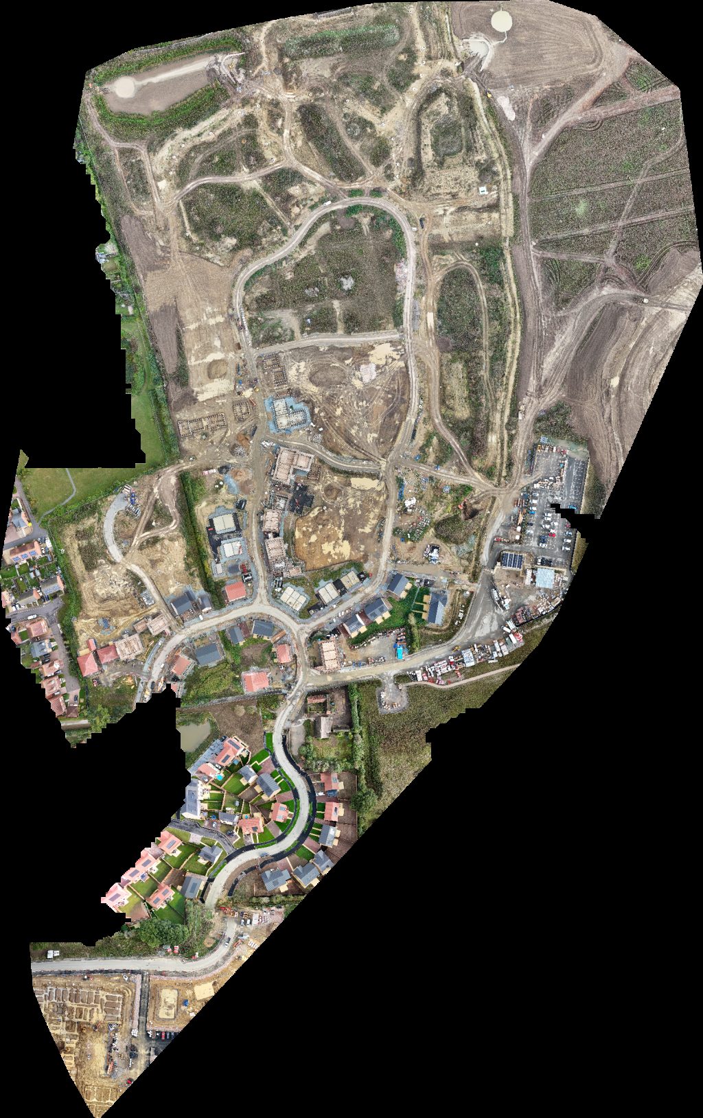 Hedges Stumps Tree Surgery Services The Gutter Clean Company