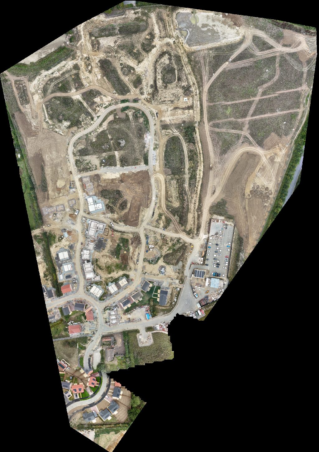 Hedges Stumps Tree Surgery Services The Gutter Clean Company