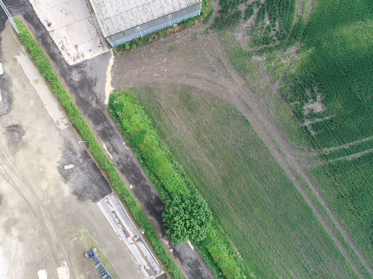Flawborough Equine Lane End Cottage