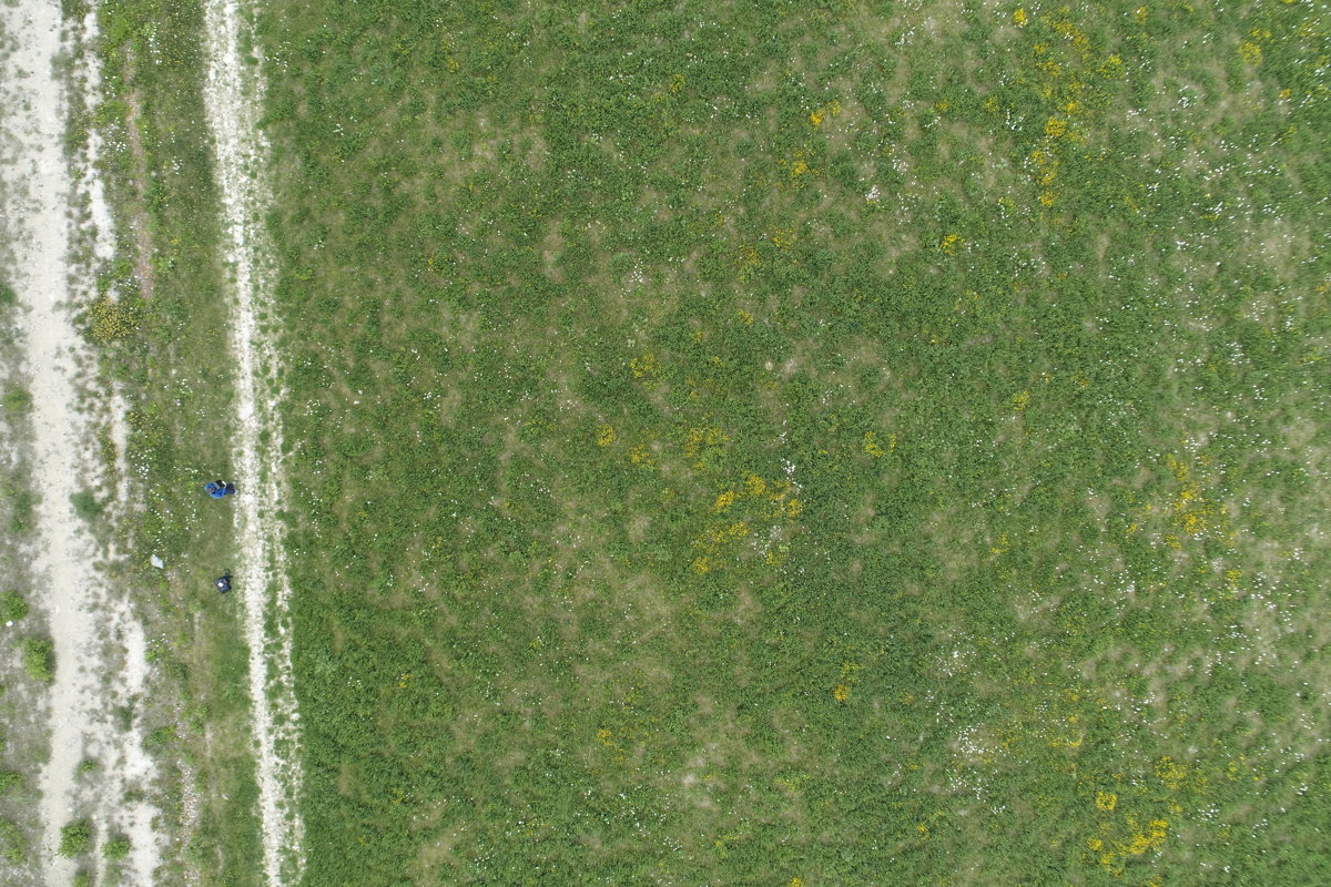 Move Massage Defacto Records Music Studio Home of Group