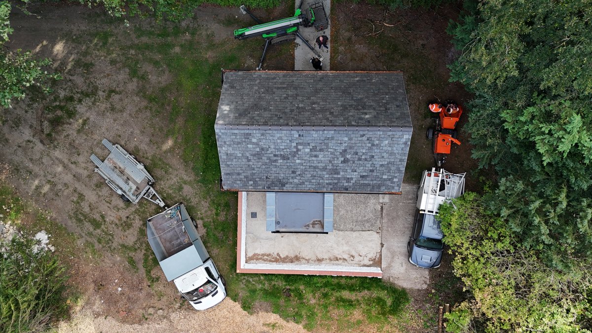 Doxford Park Palm Trees Friends of