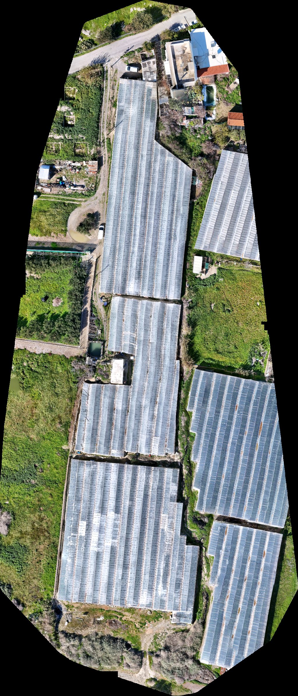 Ήχος εικόνα Malliotakis D N Spanoudakis O E