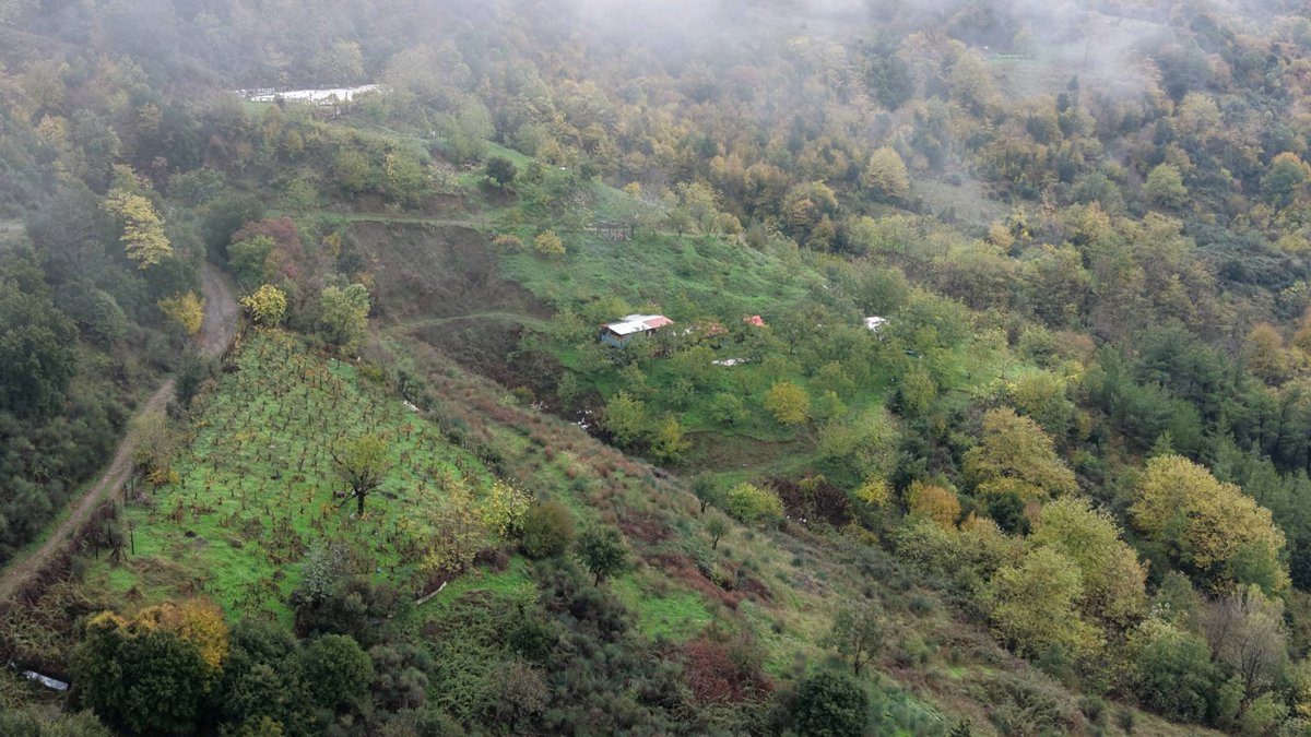 Playground ΕΥΟΙΝΟΣ Ταβέρνα Ψησταριά