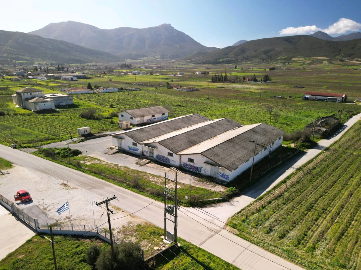 ΕΑΣ Νεμέας Nemeion Estate