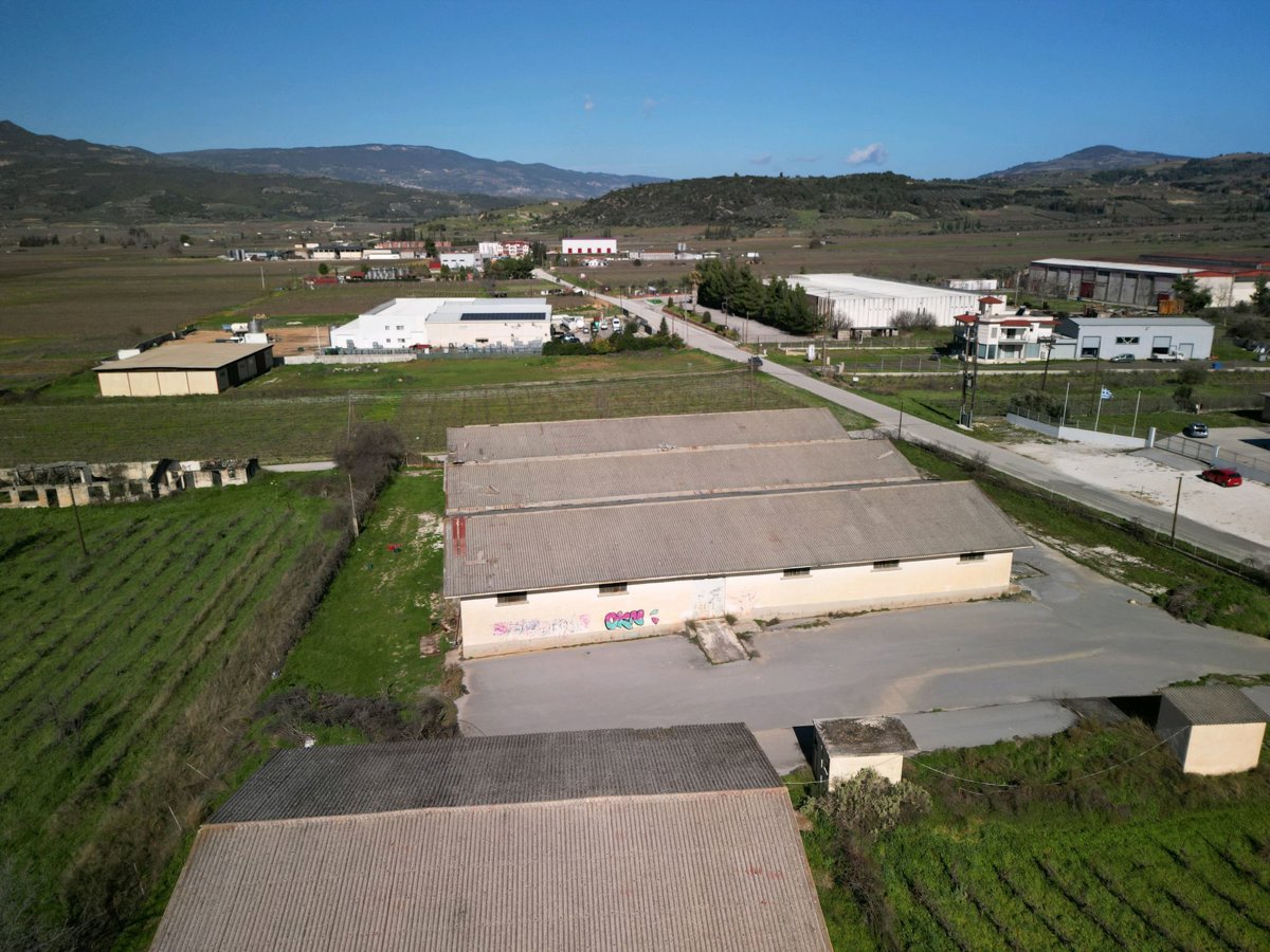 ΕΑΣ Νεμέας Nemeion Estate