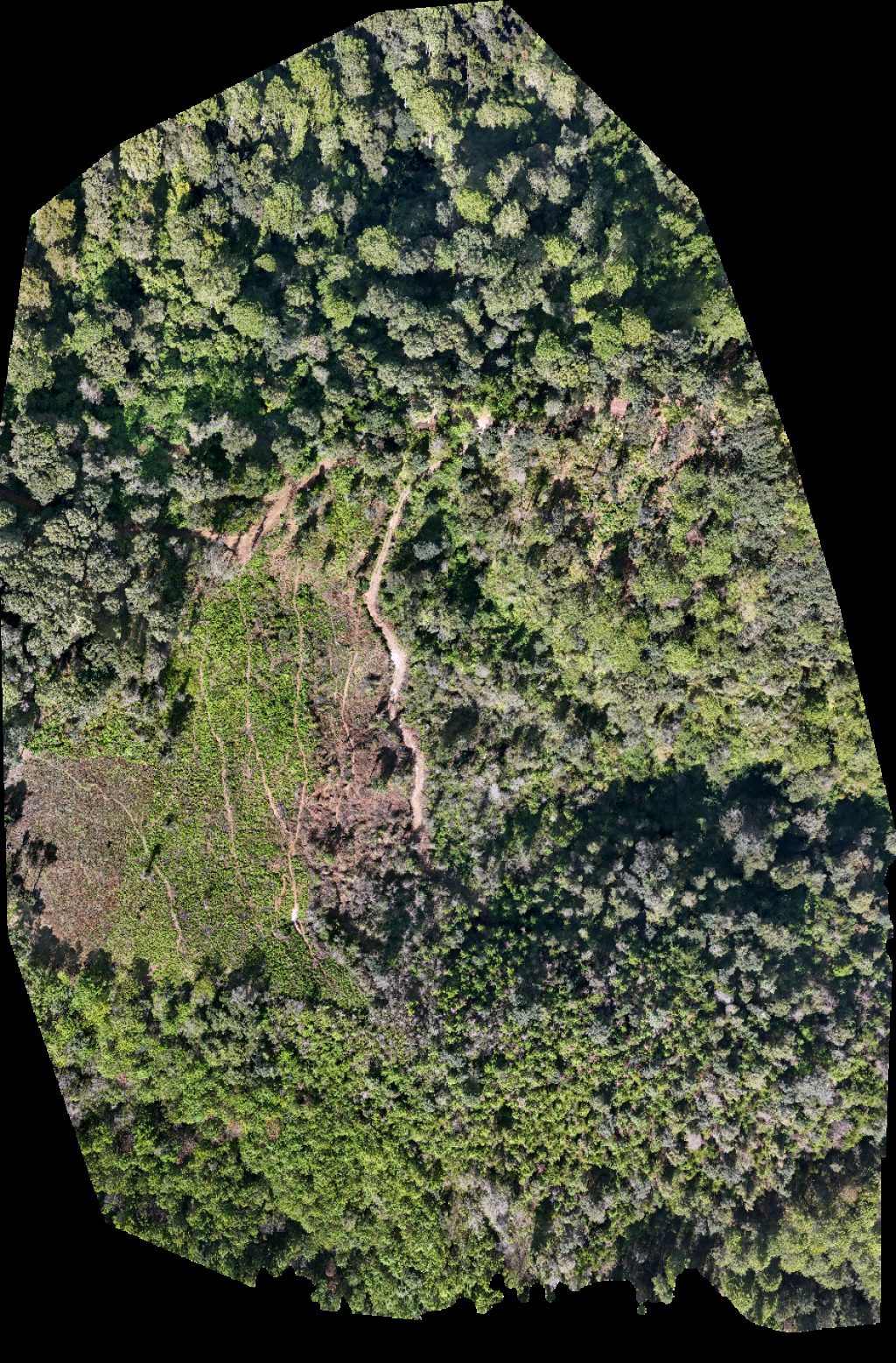 Astillero Municipal de Virgen la montaña