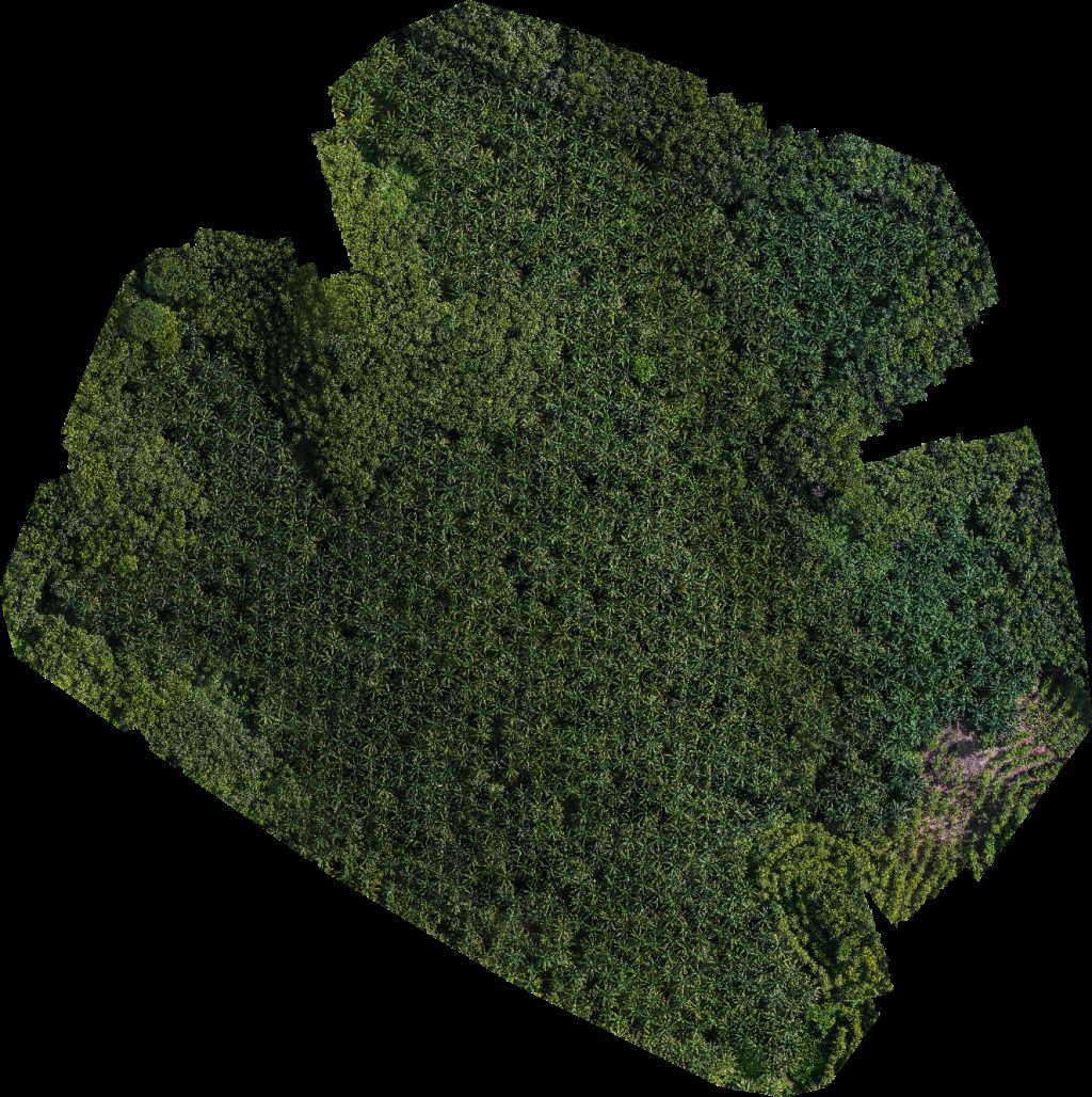 Multimaderas Finca Sololá