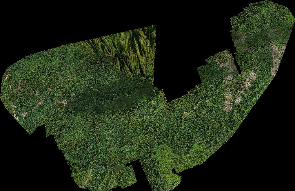 Multimaderas Finca Sololá