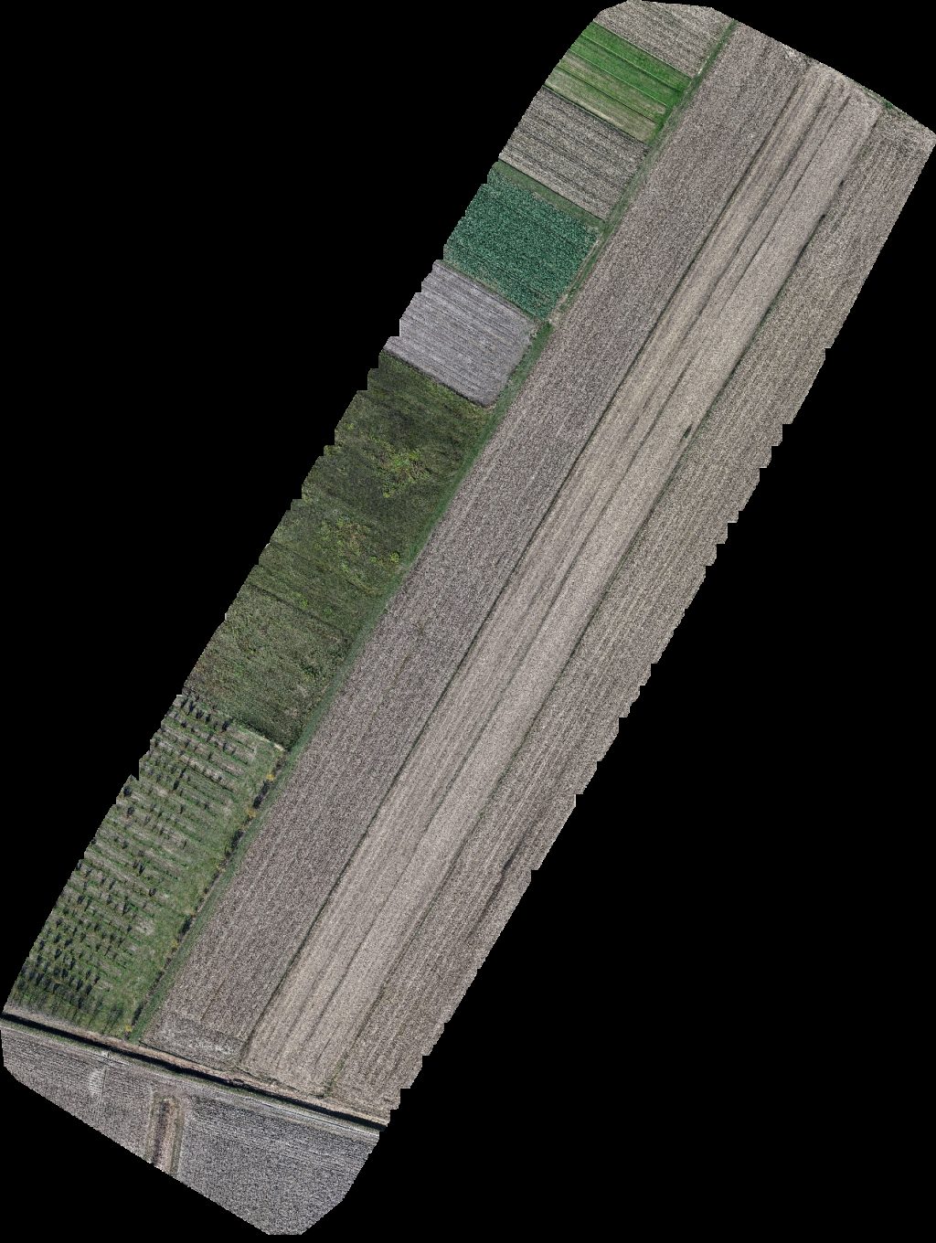 Crucifix Studenac Market