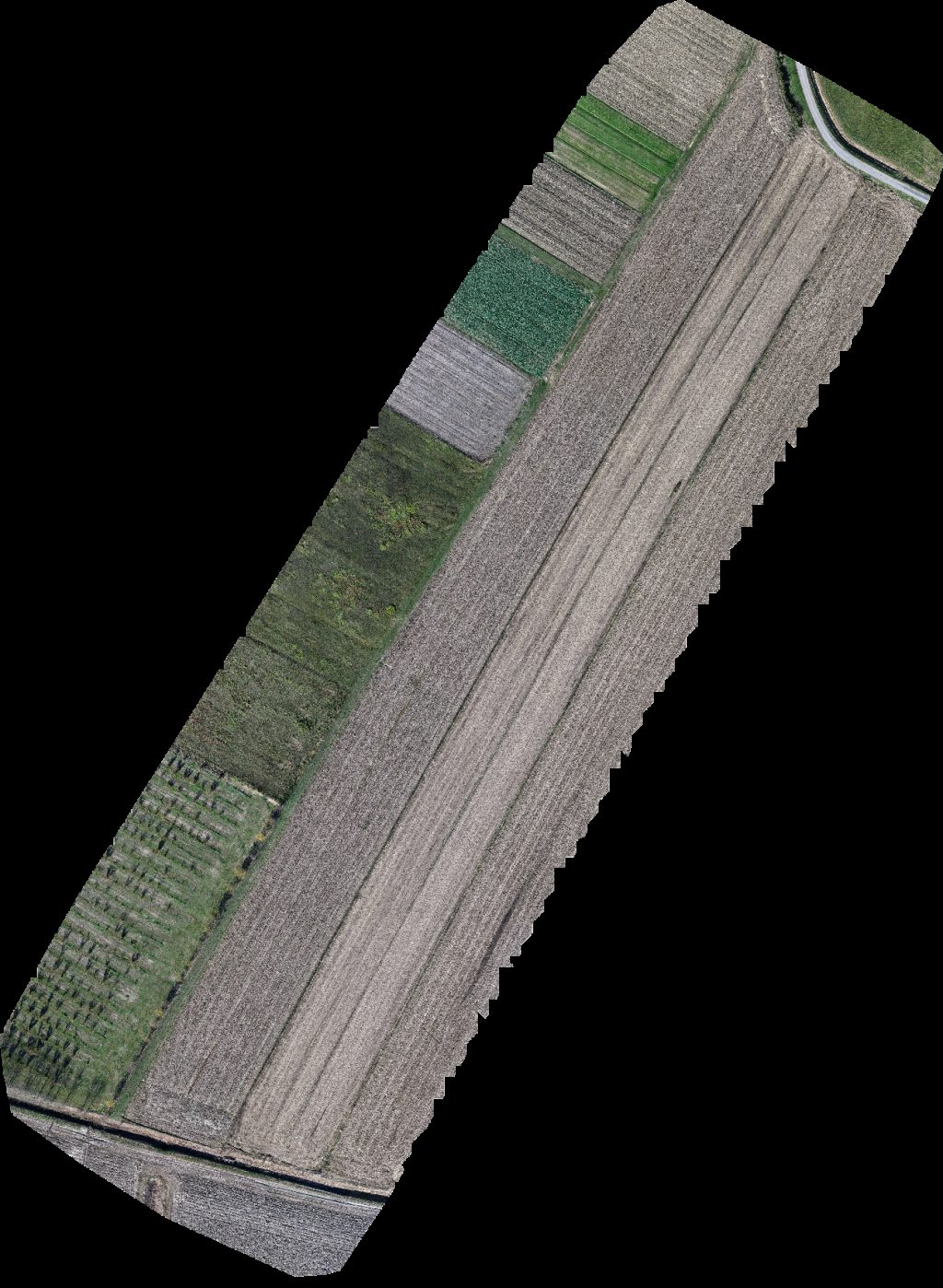 Crucifix Studenac Market