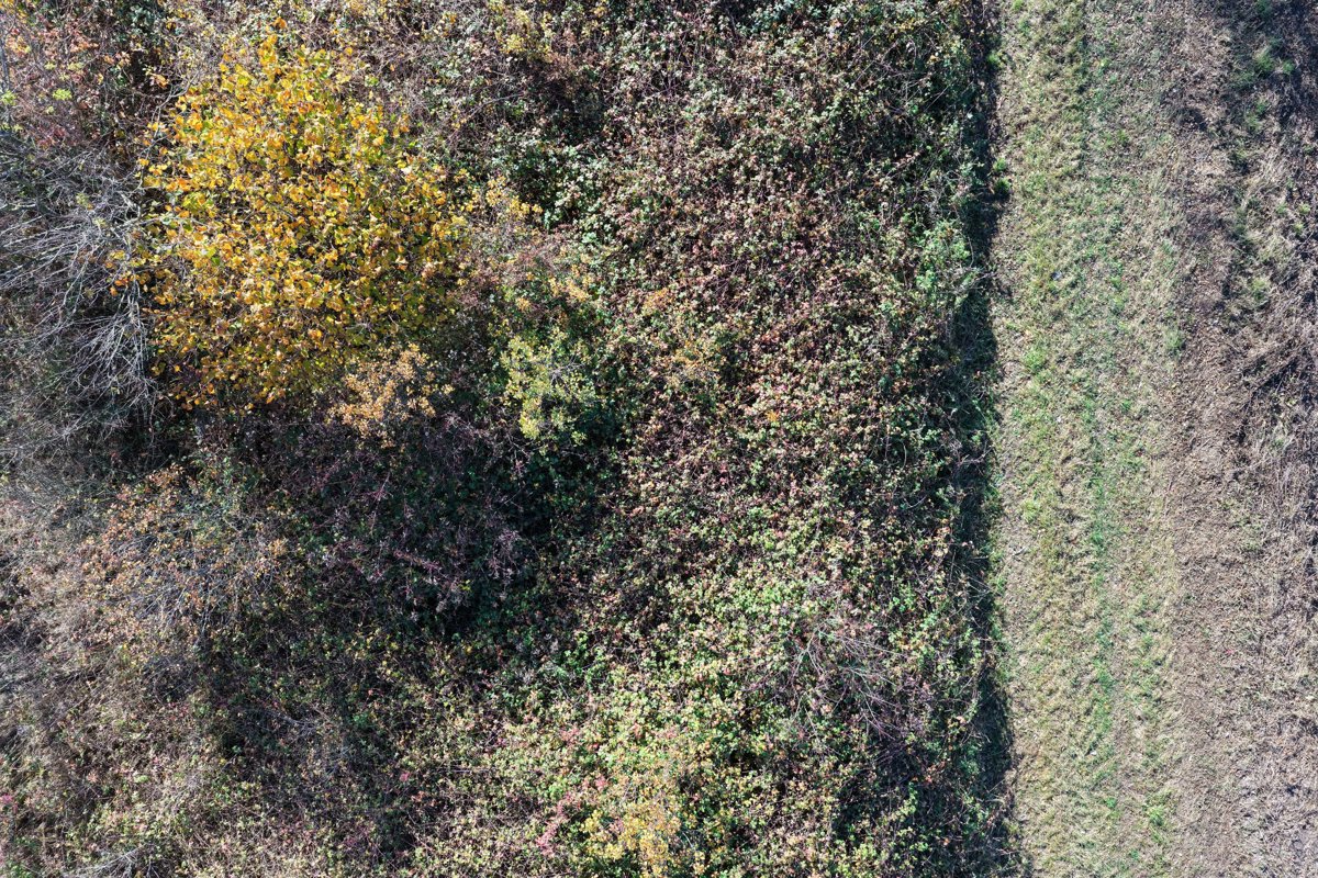 Studenac Market JC ZELENO obrt za usluge