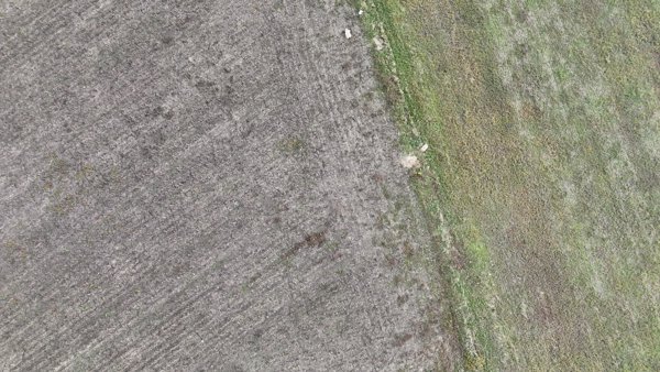 termelőszövetkezet tanya