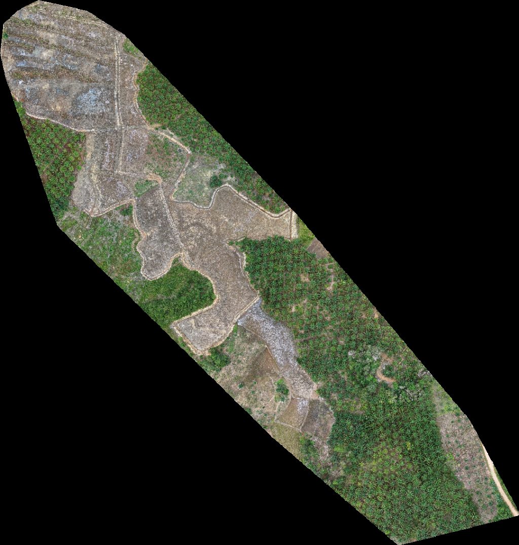 Jasa terapi rukiyah rumah herbal DESA SUNGAI MAWANG