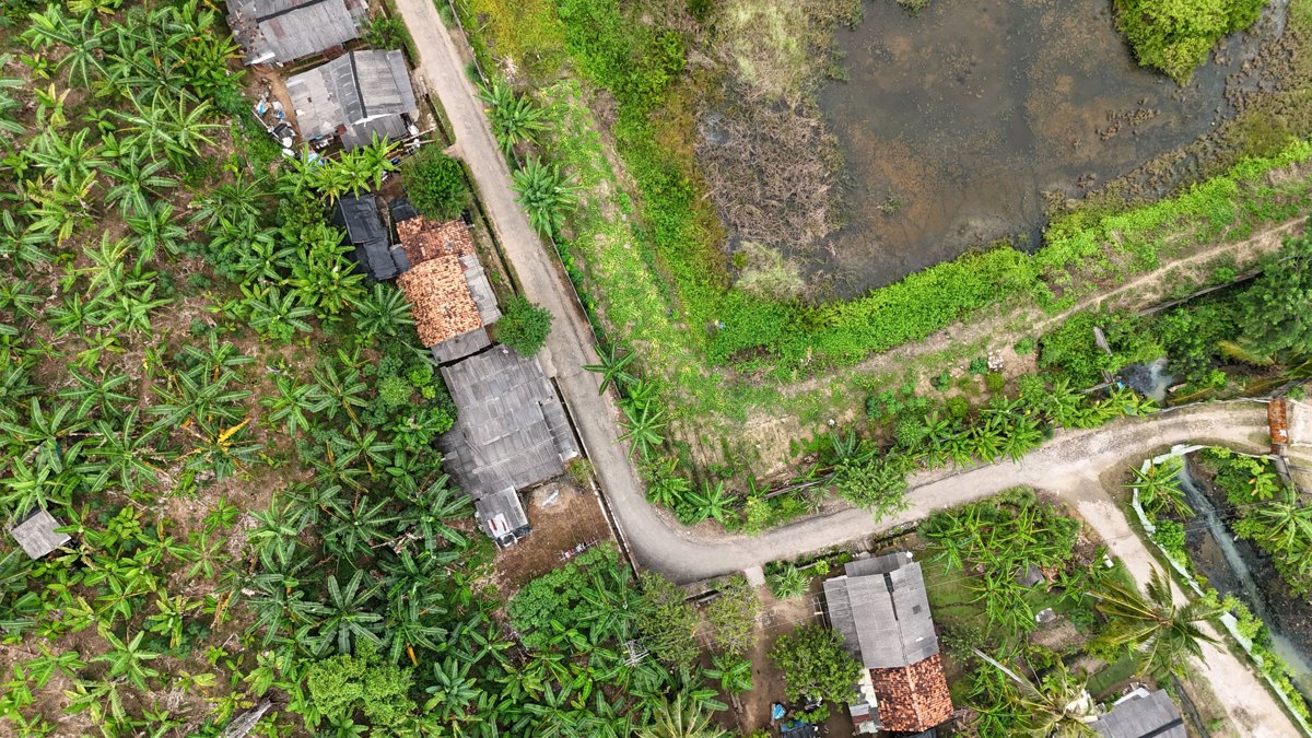 IDOLA CERIA BENGKEL DAUD SITUMORANG