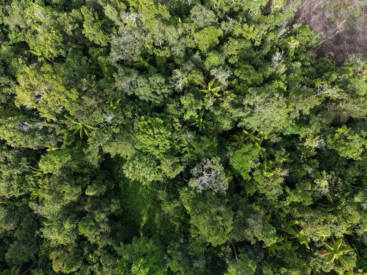 Bukit Iroy Kabut Gereja Kristen Injili di Tanah Papua